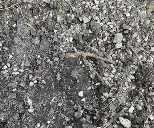 Gemengde grond container huren